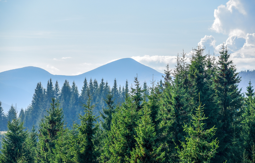 Сходження на Говерлу враження, маршрут і практичні поради