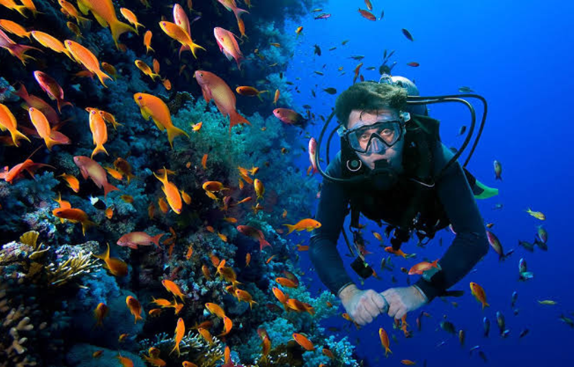 Як підготуватися до першого занурення